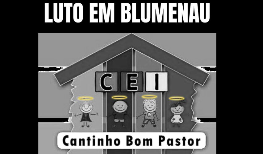 Imprensa é corresponsável pelos ataques em escolas, diz Daniel Cara